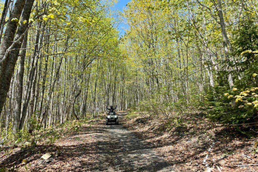 Sentier entre Saint-Gabriel-de-Rimouski et Saint-Marcellin