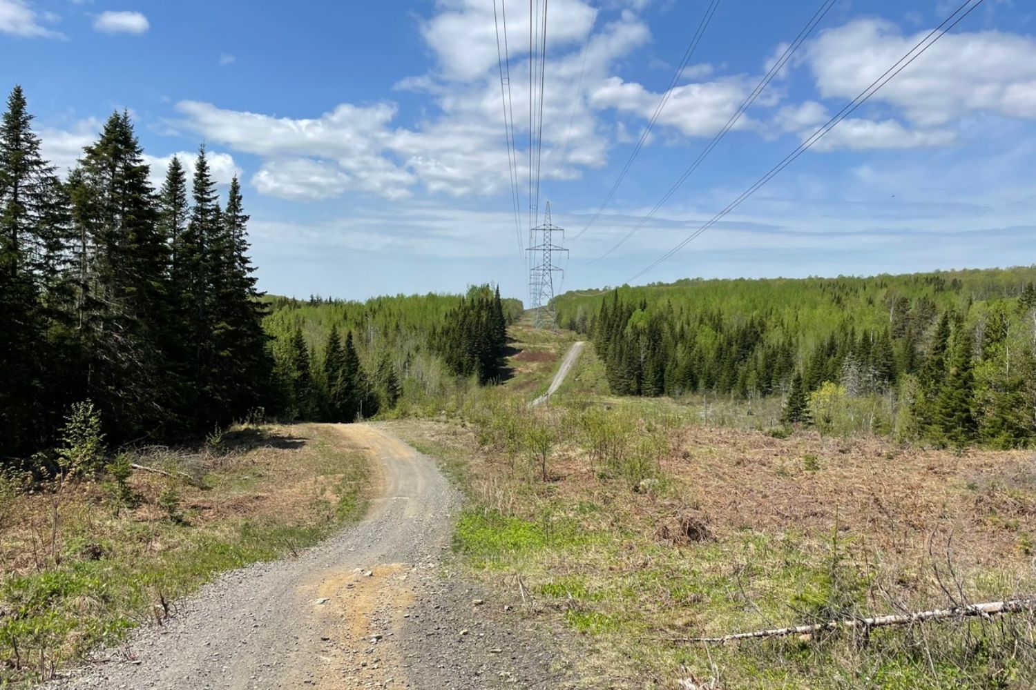 Sentier sur les lignes d’Hydro, coin Saint-Marcellin