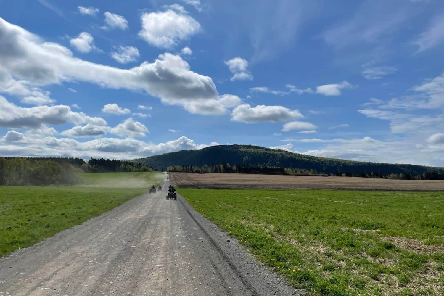 Sentier dans le coin de Rimouski