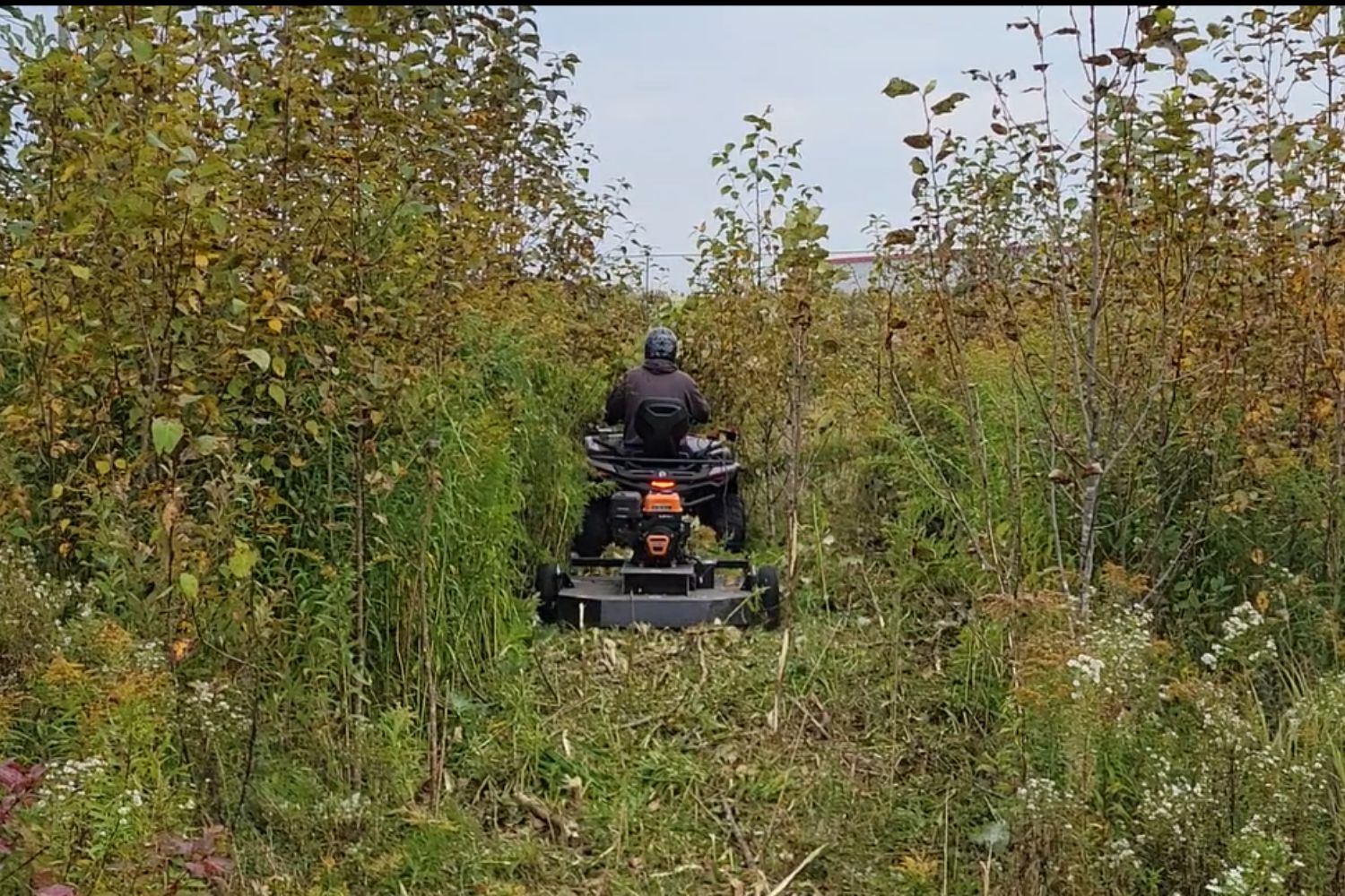 débroussailleuse de sentier Bercomac